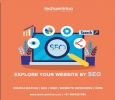 Best SEO Agency in Noida